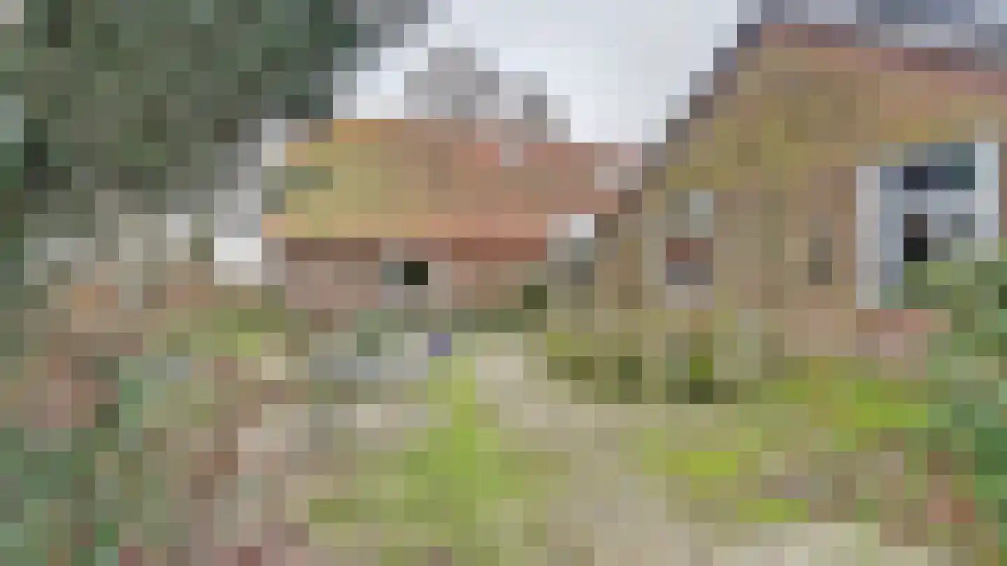 Hooiweg 19 Zwolle thumbnail 6