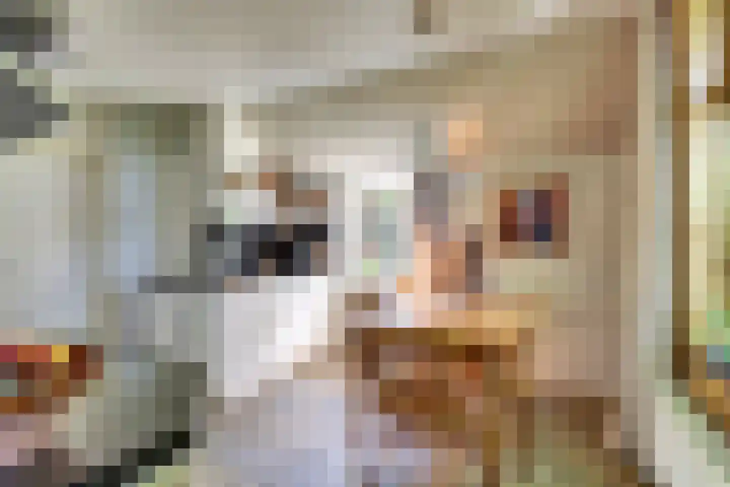Hooiweg 19 Zwolle thumbnail 9