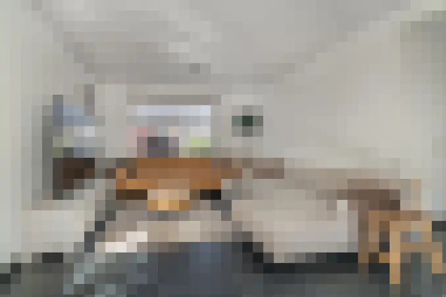Hooiweg 2 a Hedel thumbnail 12