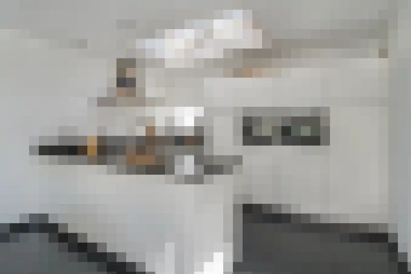 Hooiweg 2 a Hedel thumbnail 15