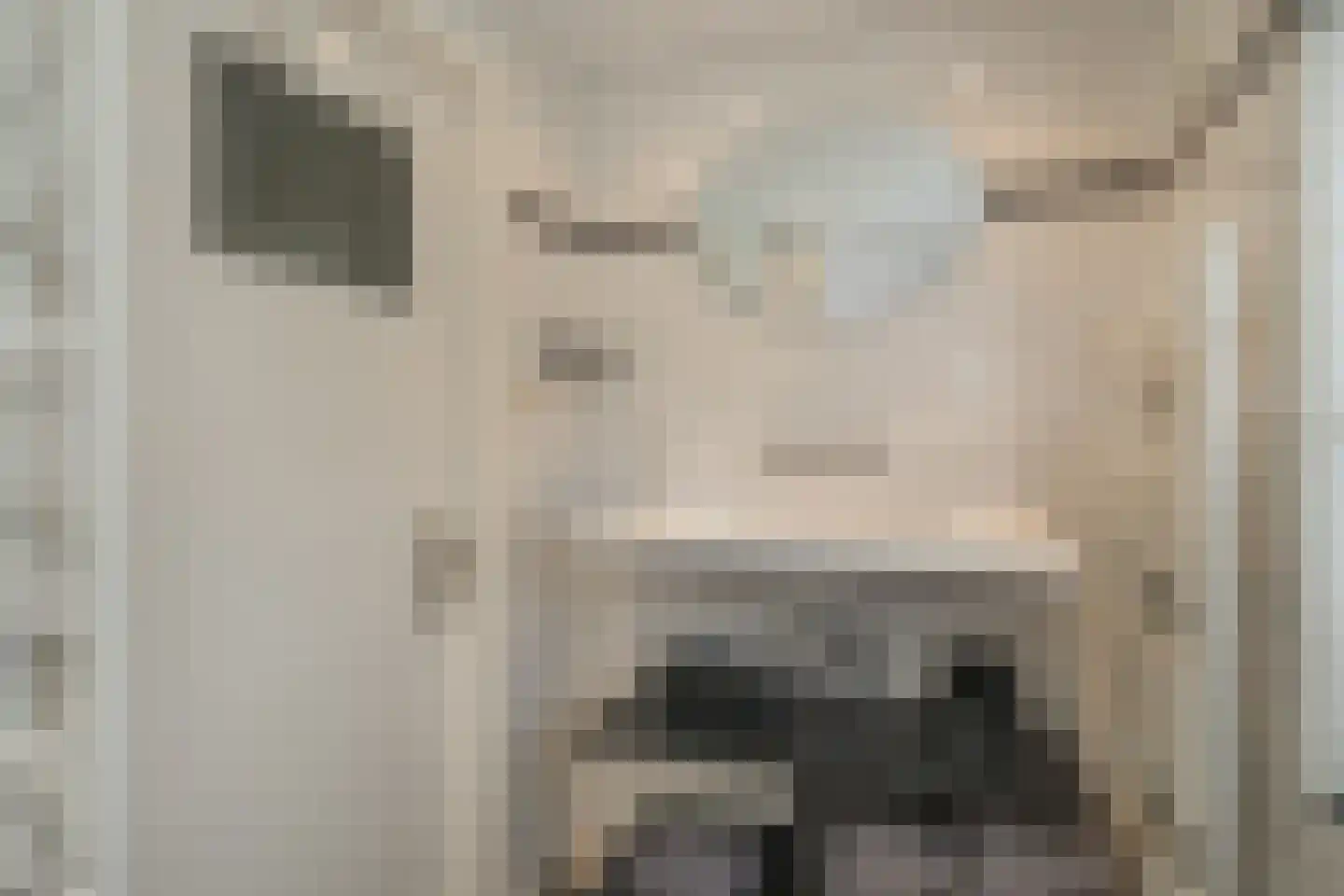 Hooiweg 2 a Hedel thumbnail 19