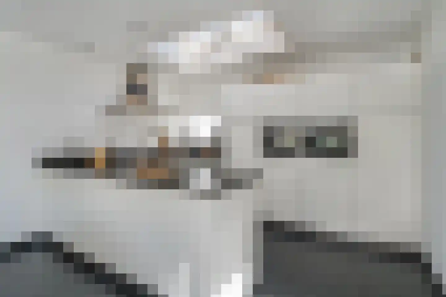 Hooiweg 2 a Hedel foto 2