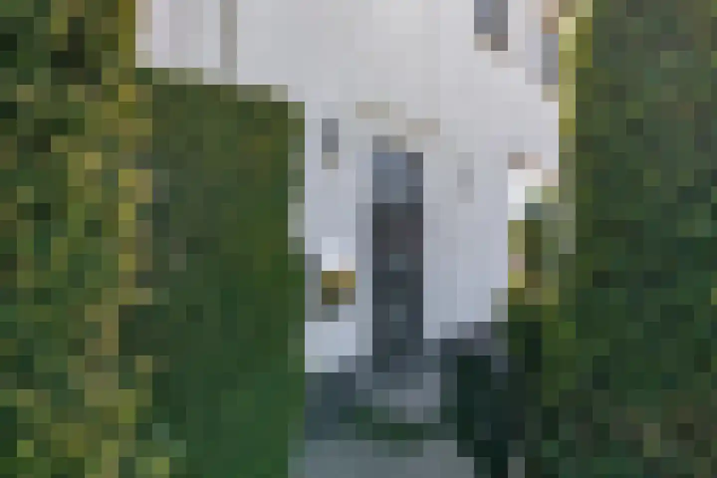 Hooiweg 2 a Hedel thumbnail 27