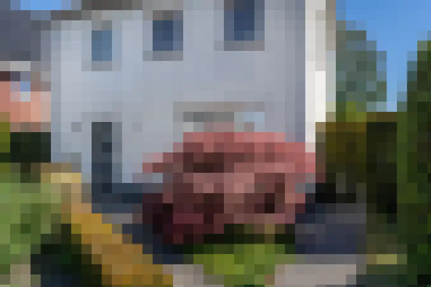 Hooiweg 2 a Hedel thumbnail 29