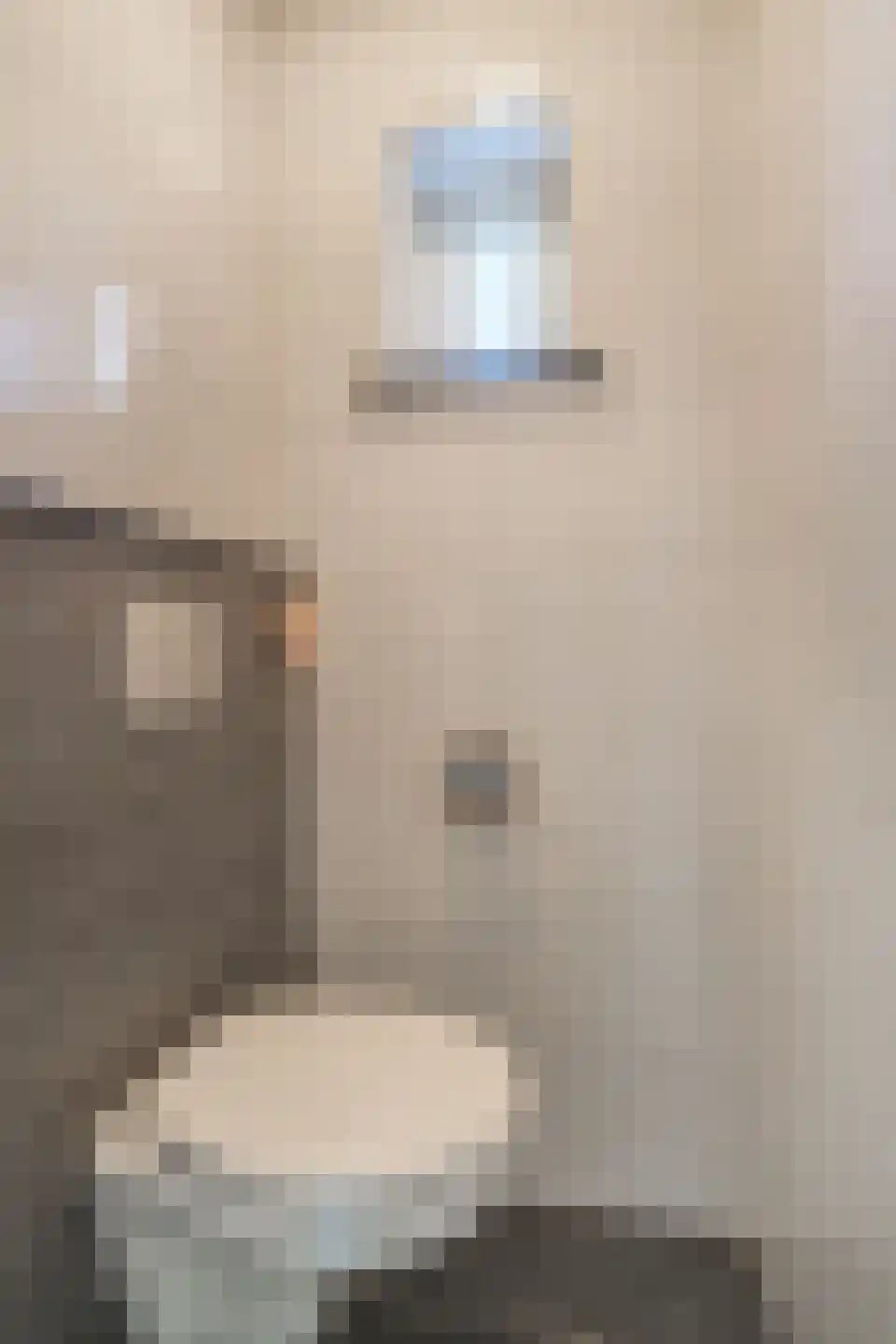 Hooiweg 2 a Hedel thumbnail 8