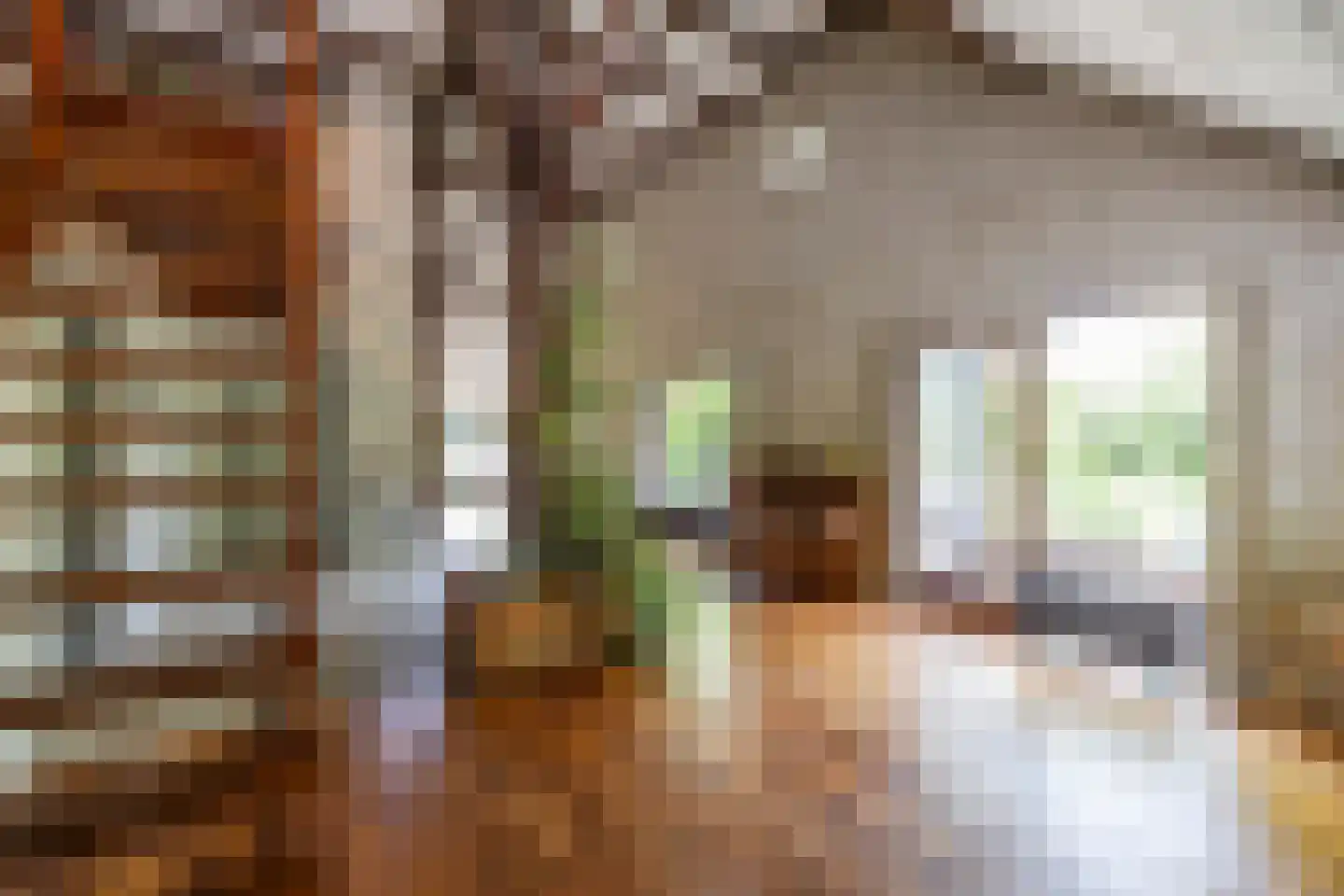 Hooiweg 228 Paterswolde thumbnail 10