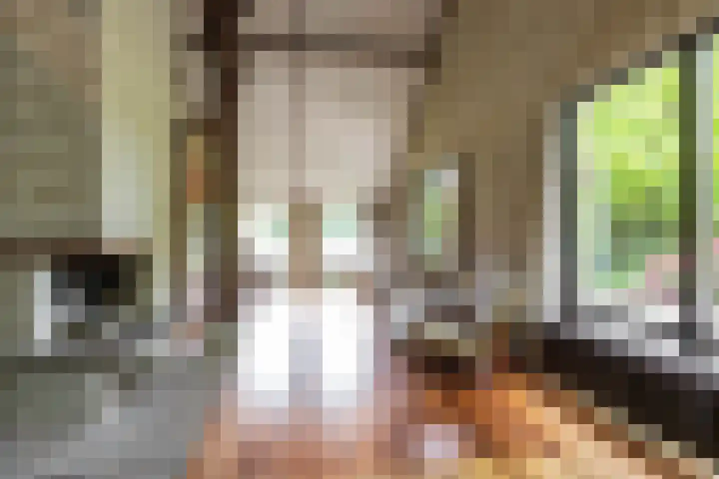 Hooiweg 228 Paterswolde thumbnail 12