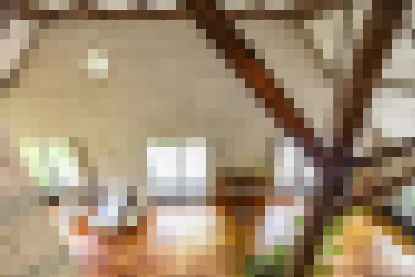 Hooiweg 228 Paterswolde thumbnail 15