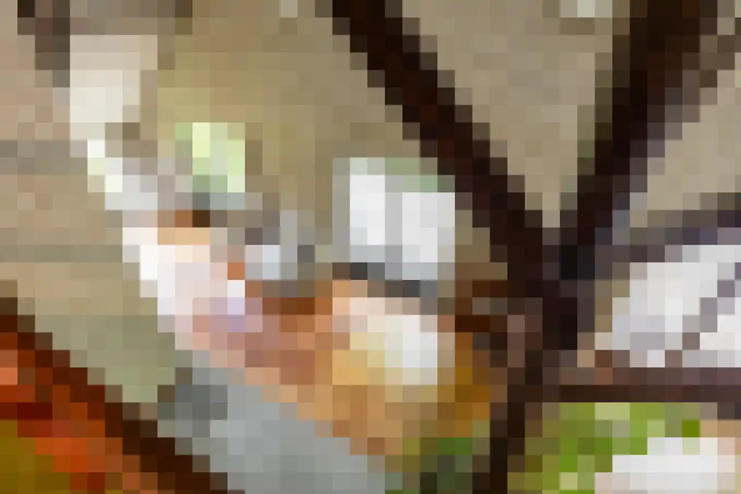 Hooiweg 228 Paterswolde thumbnail 16