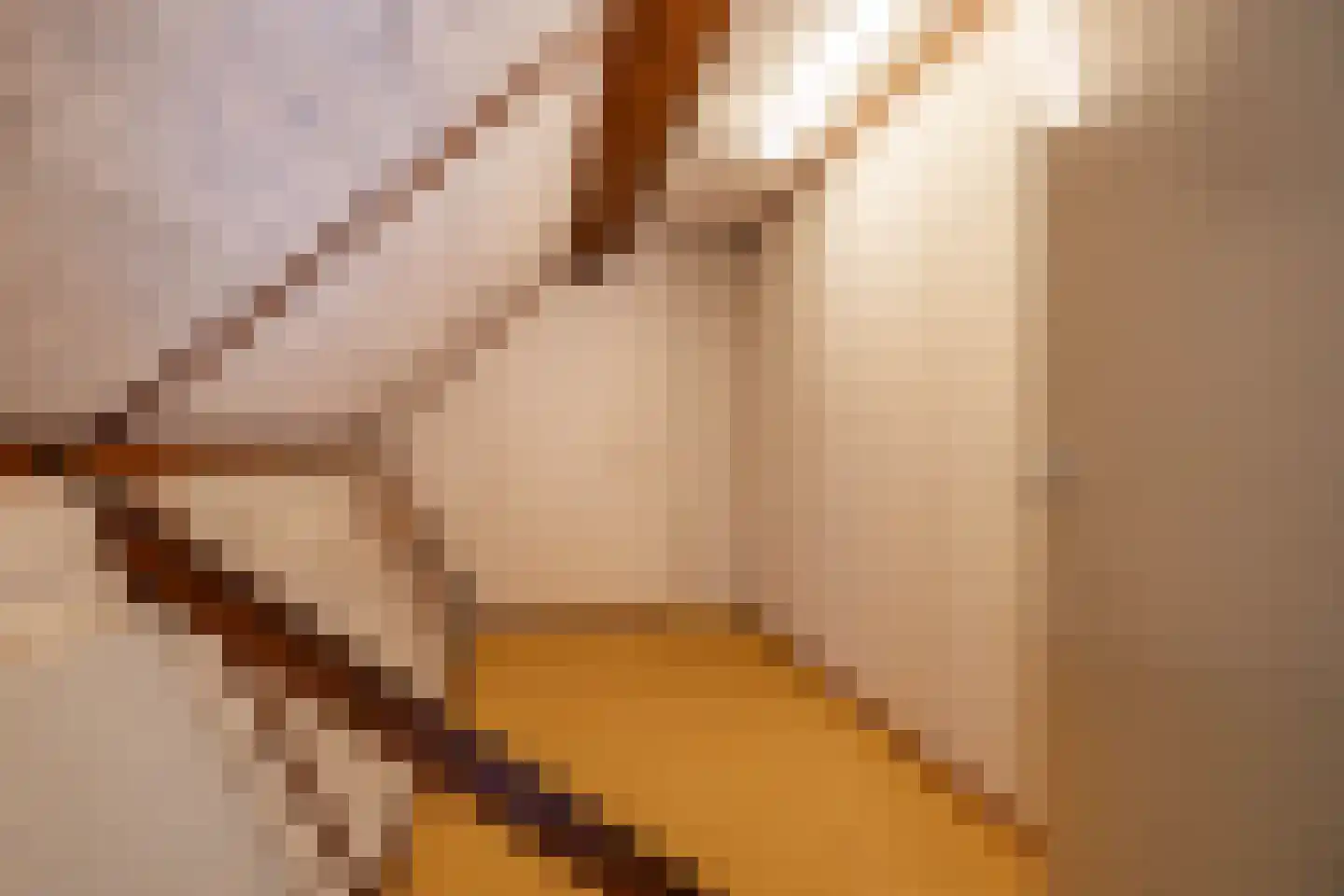 Hooiweg 228 Paterswolde thumbnail 22
