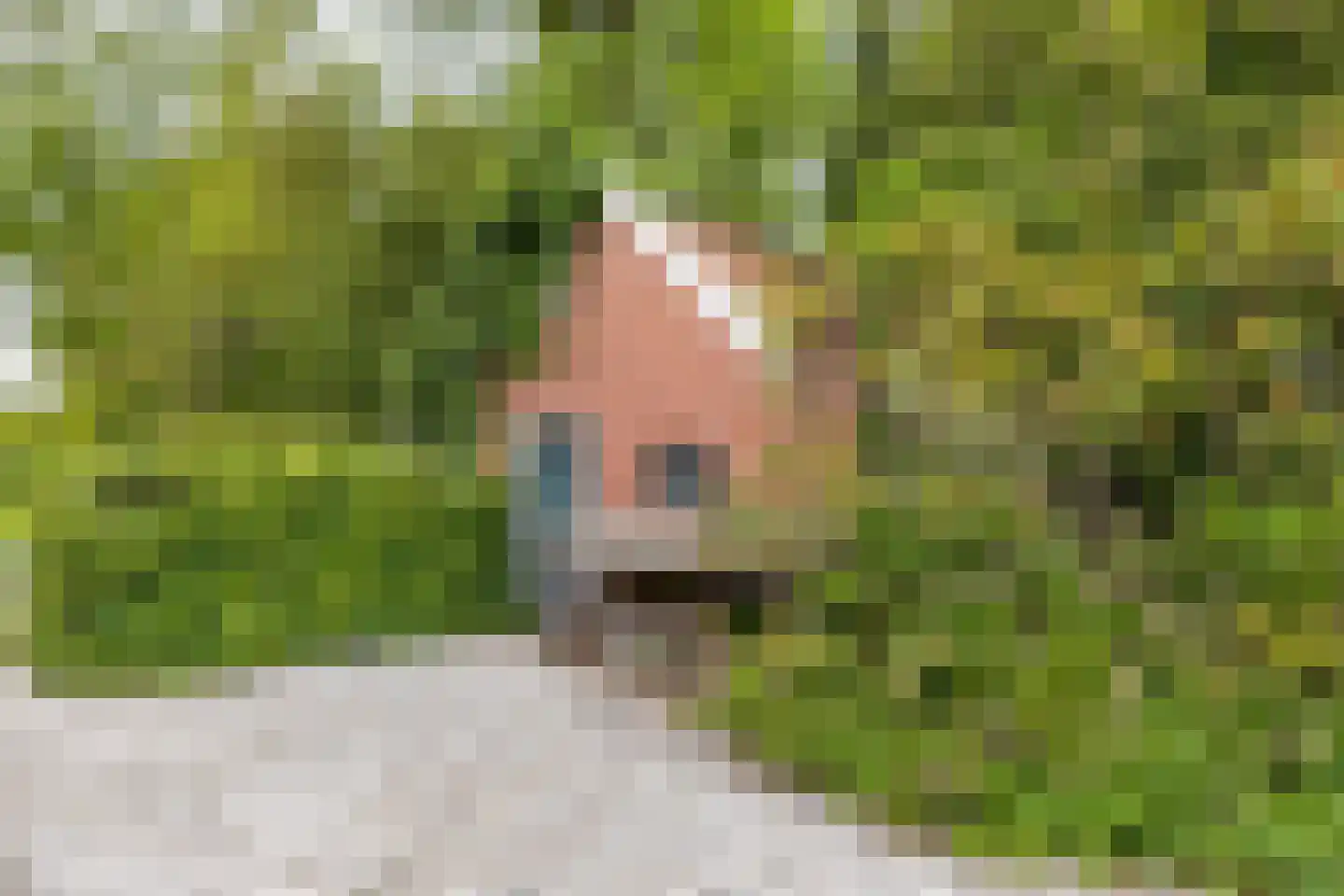 Hooiweg 228 Paterswolde thumbnail 36