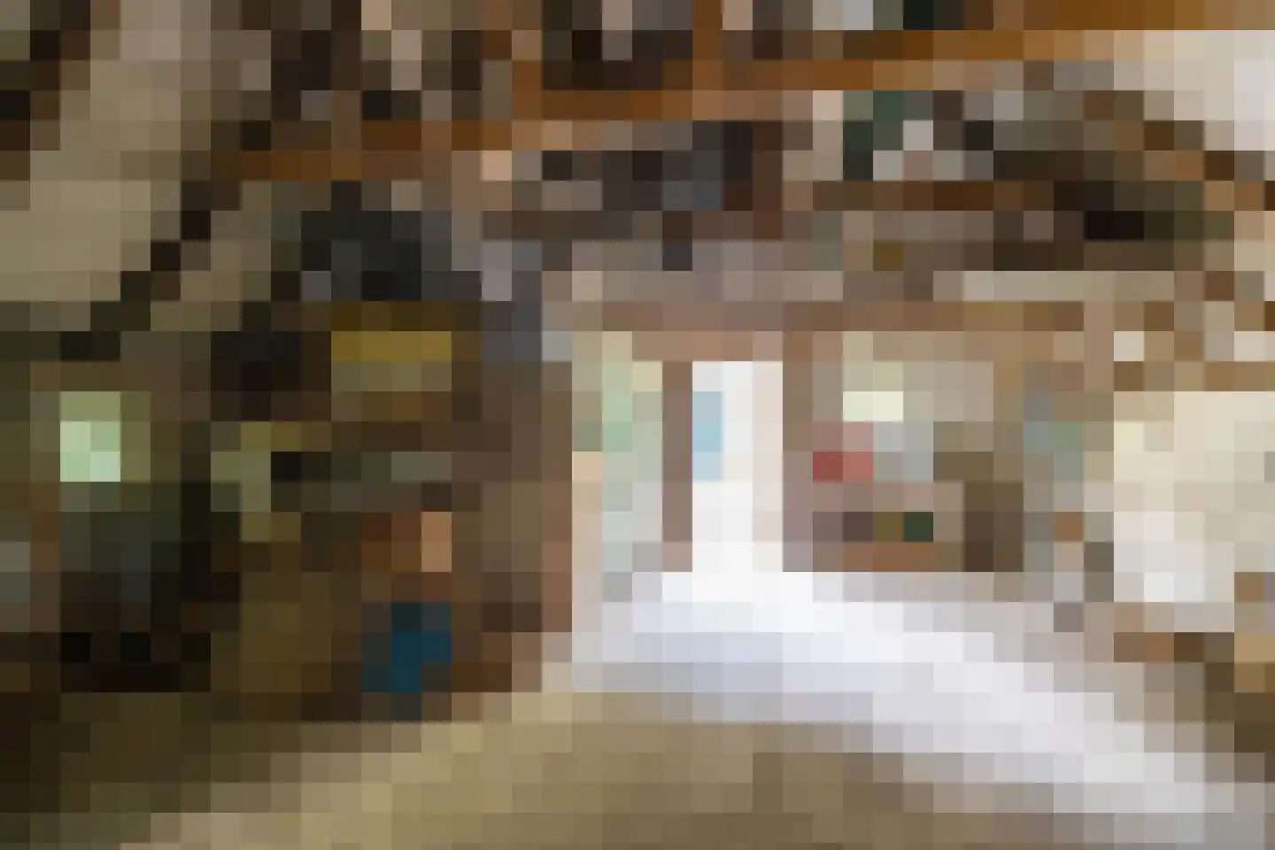Hooiweg 228 Paterswolde thumbnail 38