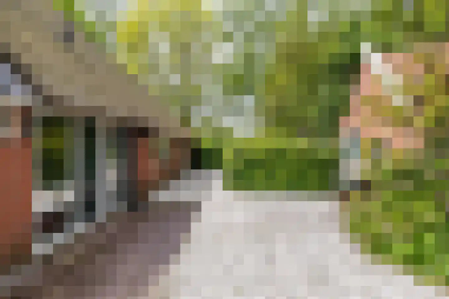 Hooiweg 228 Paterswolde thumbnail 4