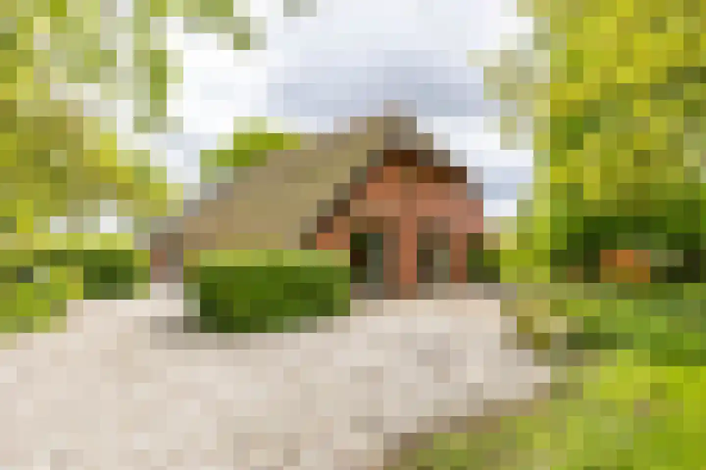 Hooiweg 228 Paterswolde thumbnail 40