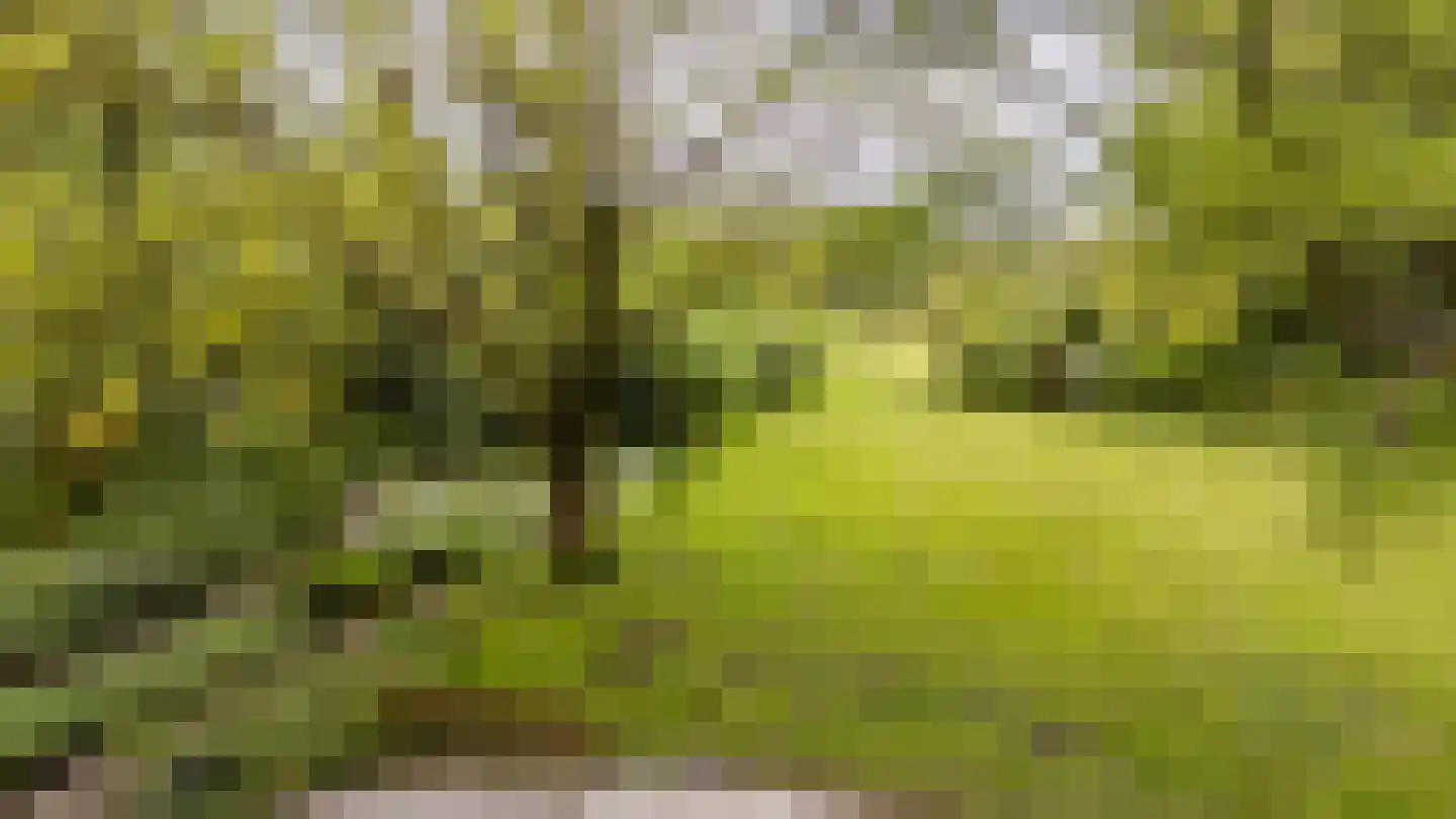 Hooiweg 228 Paterswolde thumbnail 41