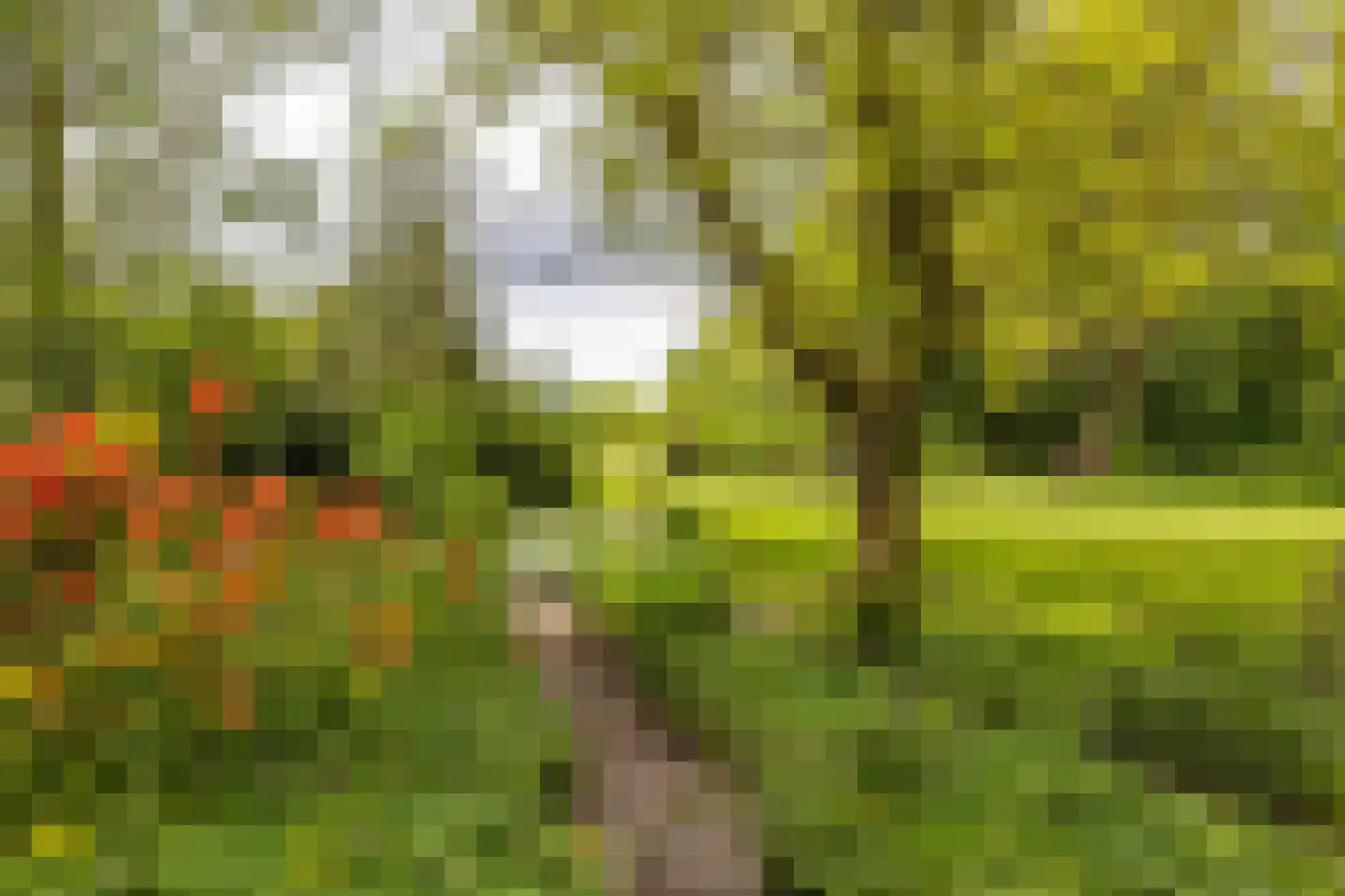 Hooiweg 228 Paterswolde thumbnail 42