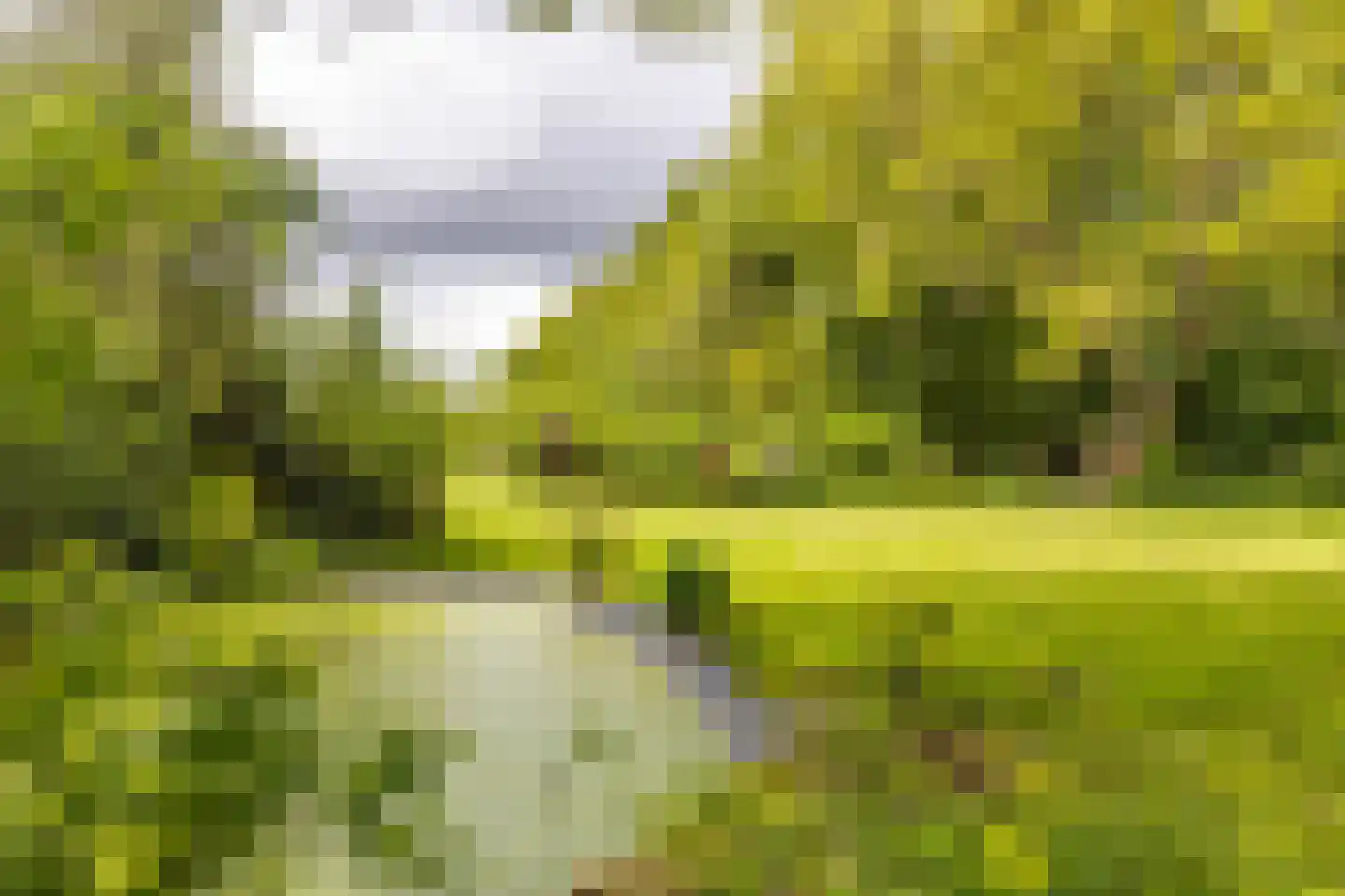 Hooiweg 228 Paterswolde thumbnail 43