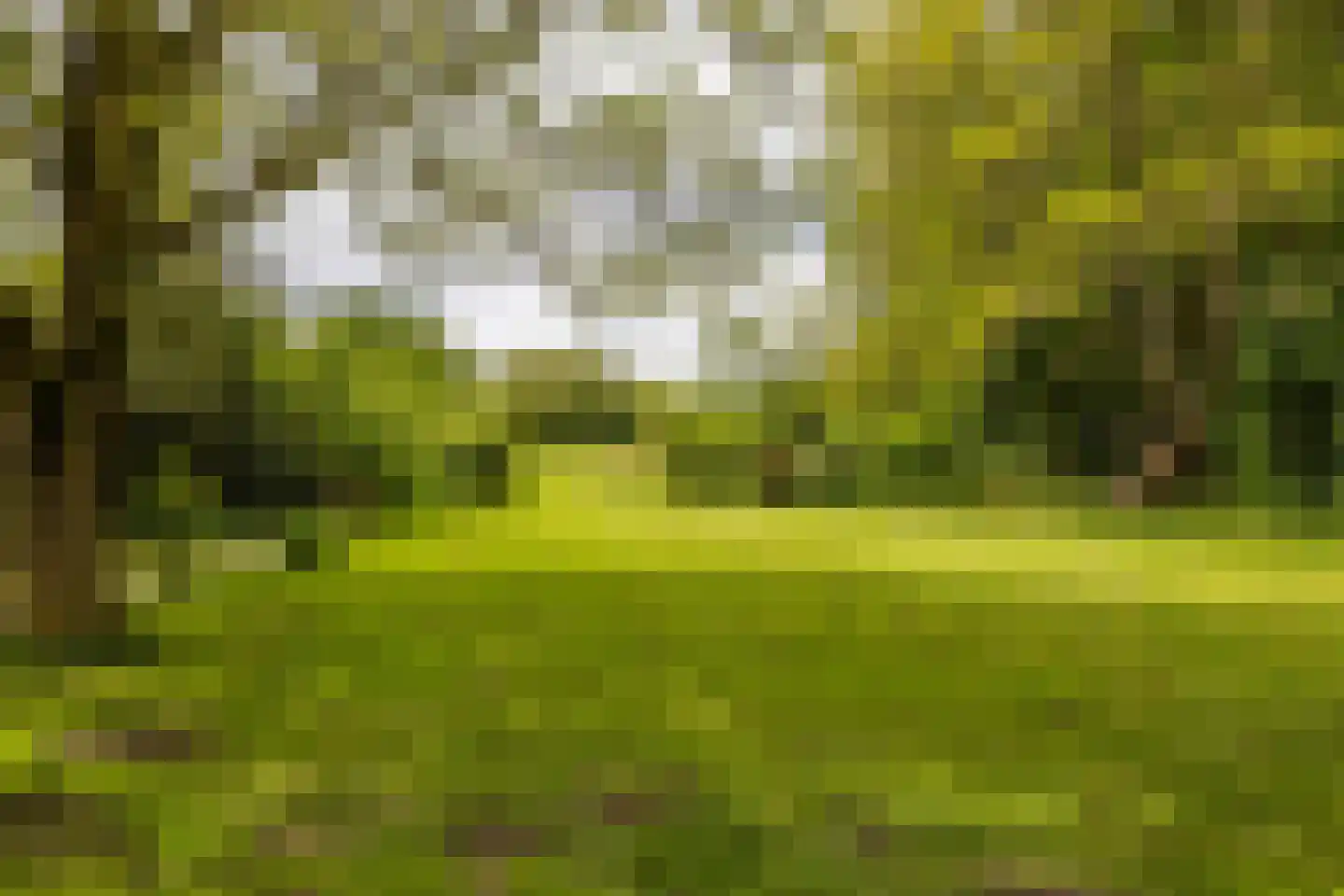 Hooiweg 228 Paterswolde thumbnail 44
