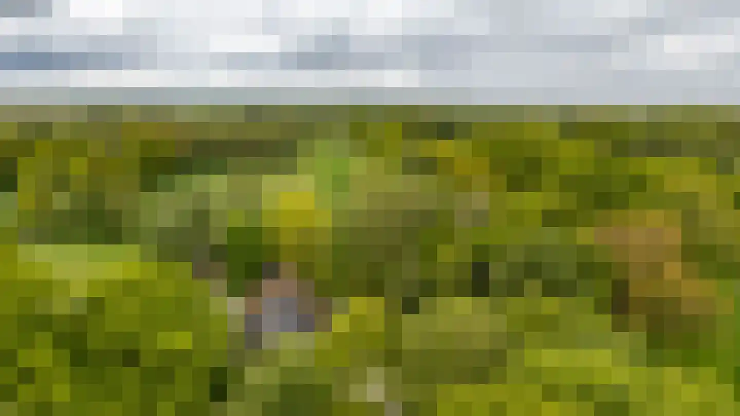 Hooiweg 228 Paterswolde thumbnail 45