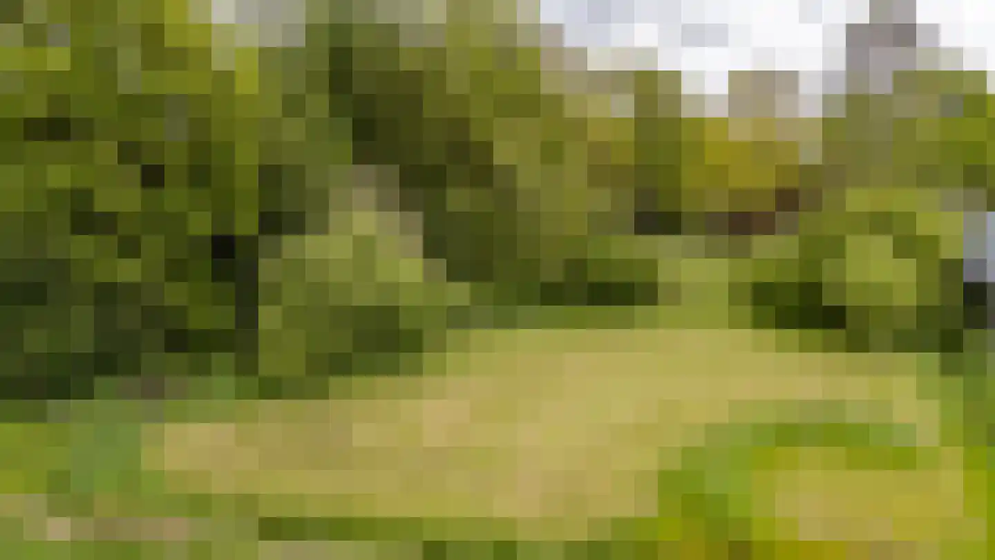 Hooiweg 228 Paterswolde thumbnail 46