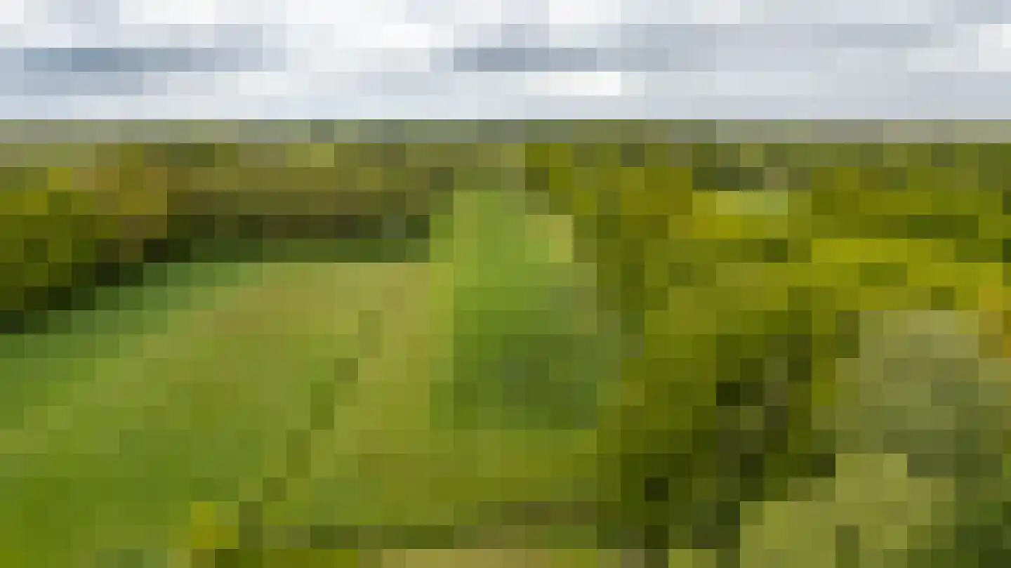 Hooiweg 228 Paterswolde thumbnail 47