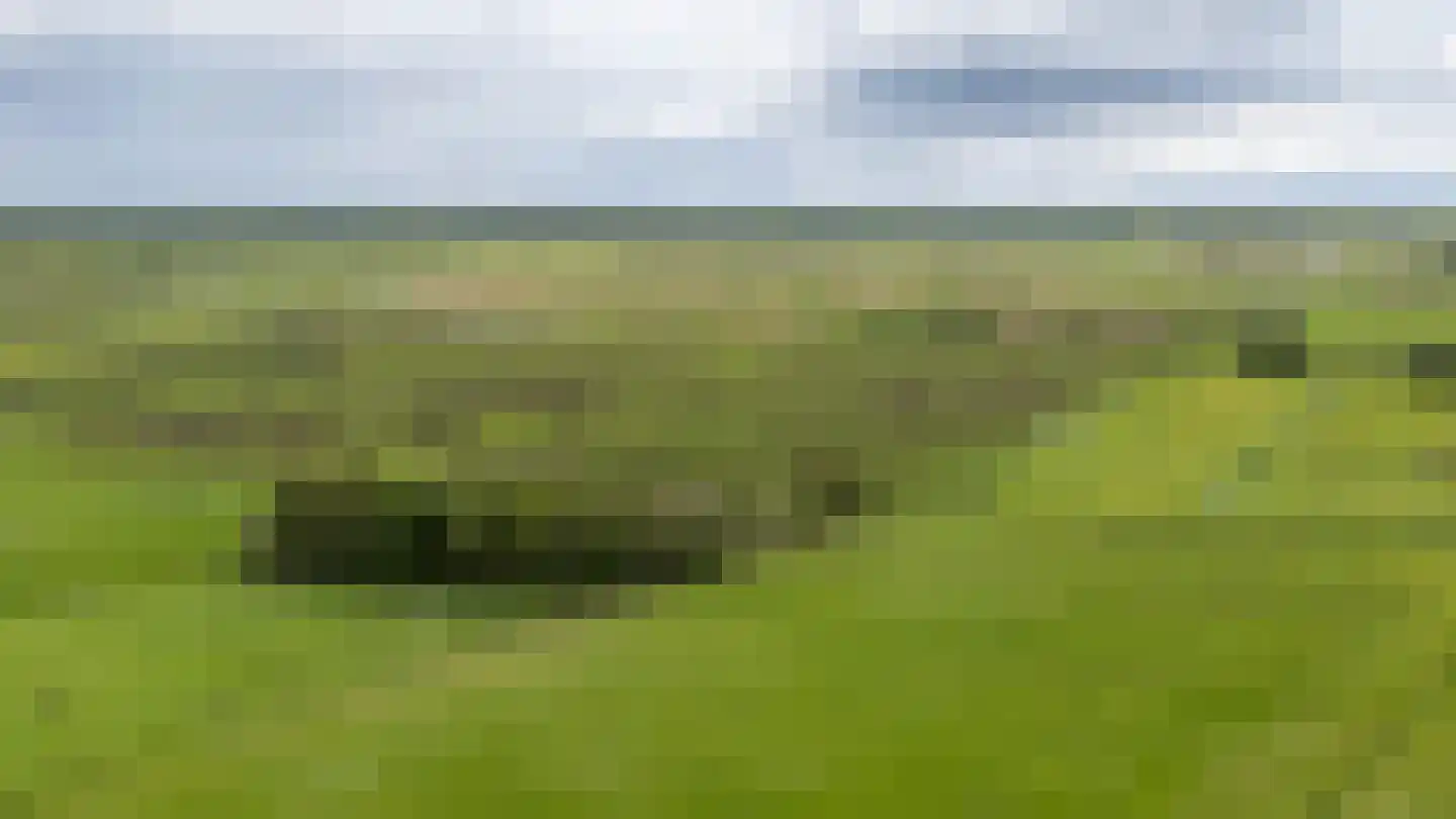 Hooiweg 228 Paterswolde thumbnail 48