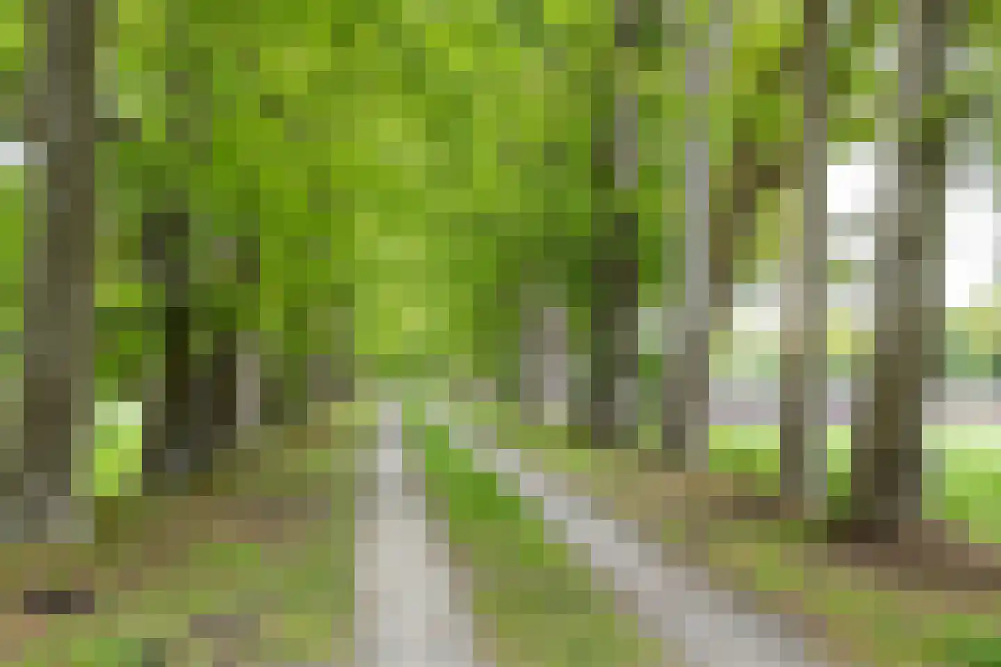Hooiweg 228 Paterswolde thumbnail 49