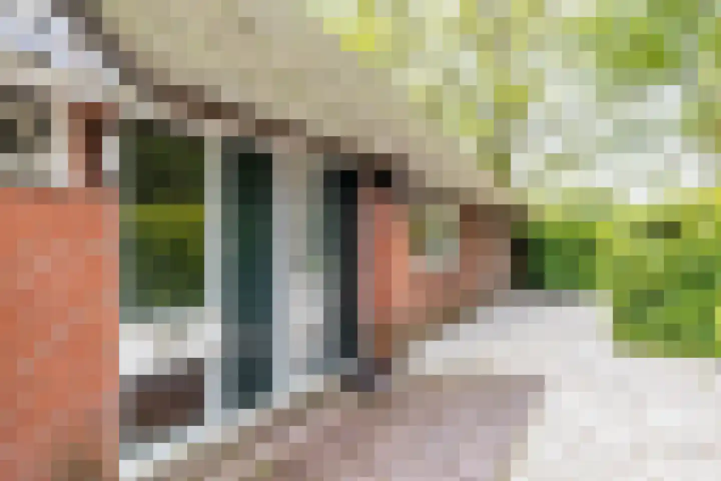 Hooiweg 228 Paterswolde thumbnail 5