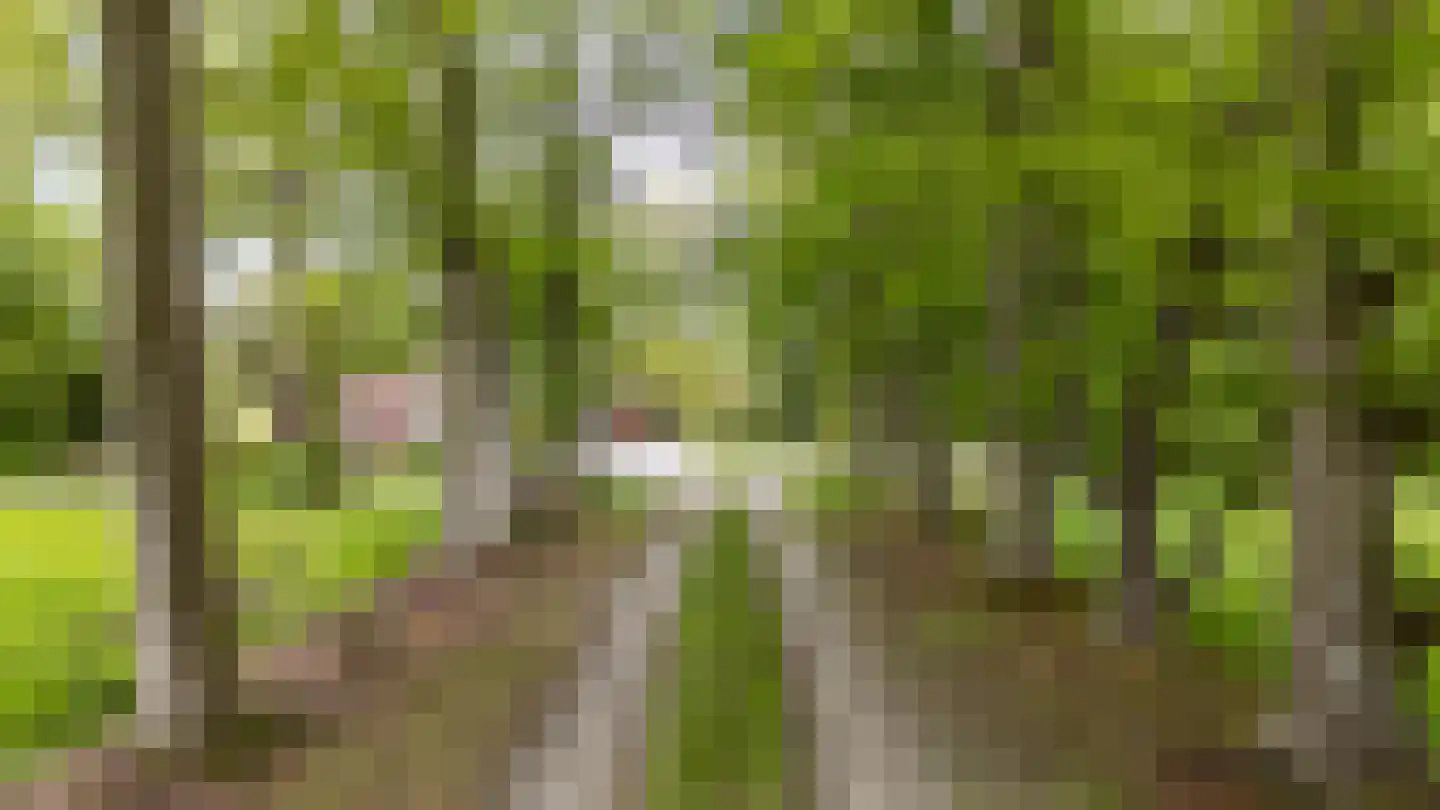 Hooiweg 228 Paterswolde thumbnail 50