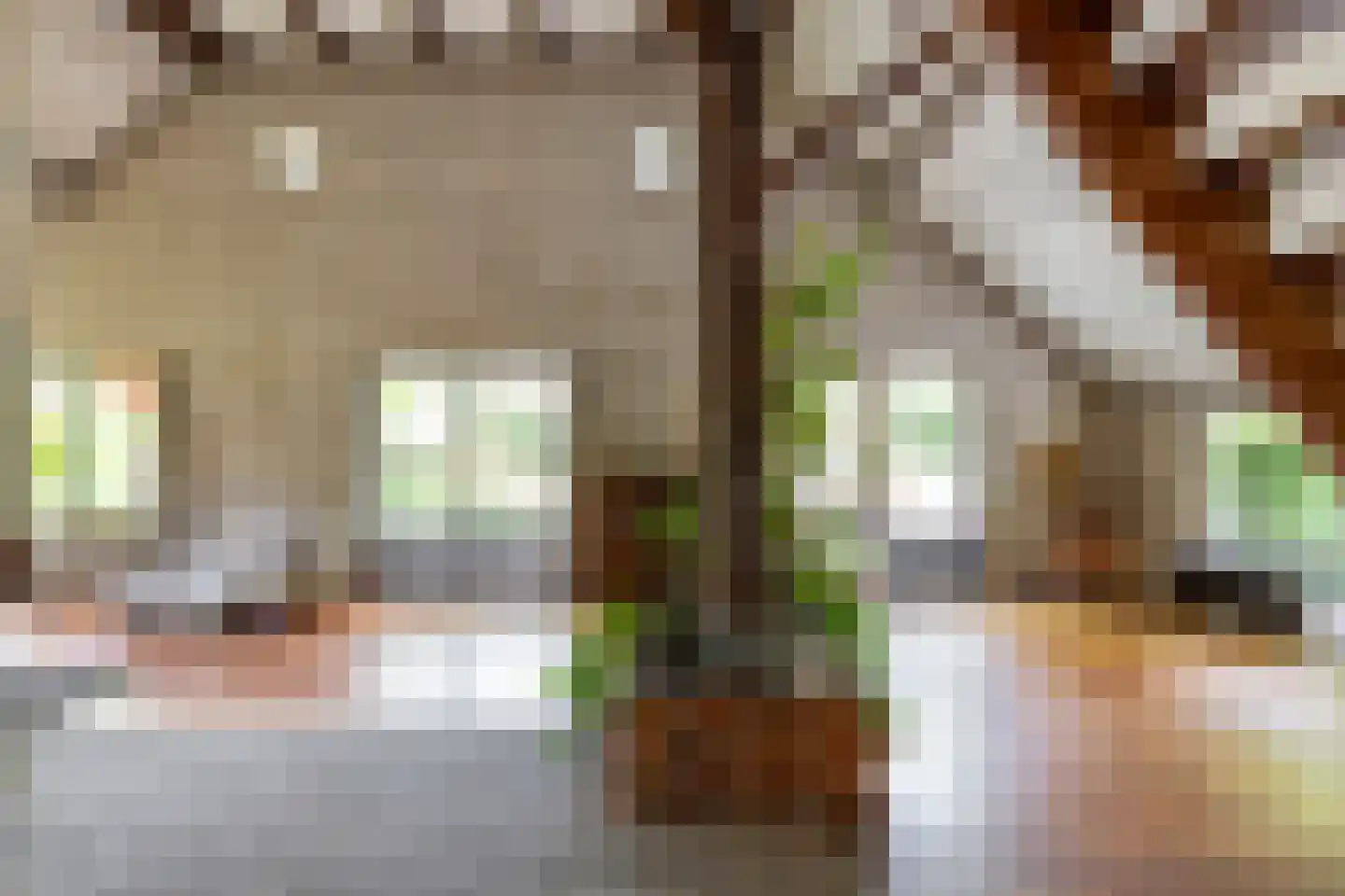 Hooiweg 228 Paterswolde thumbnail 9