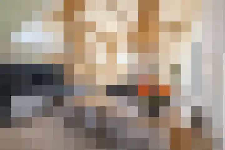 Hooiweg 23 Eelde thumbnail 14