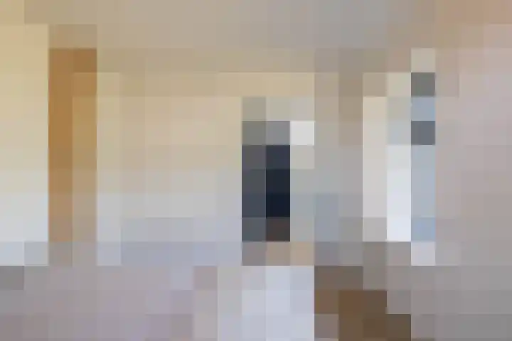 Hooiweg 23 Eelde thumbnail 17