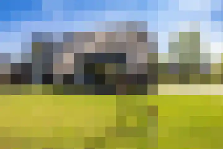 Hooiweg 23 Eelde thumbnail 38