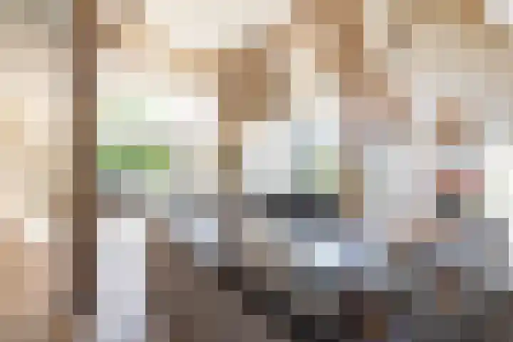 Hooiweg 23 Eelde thumbnail 4