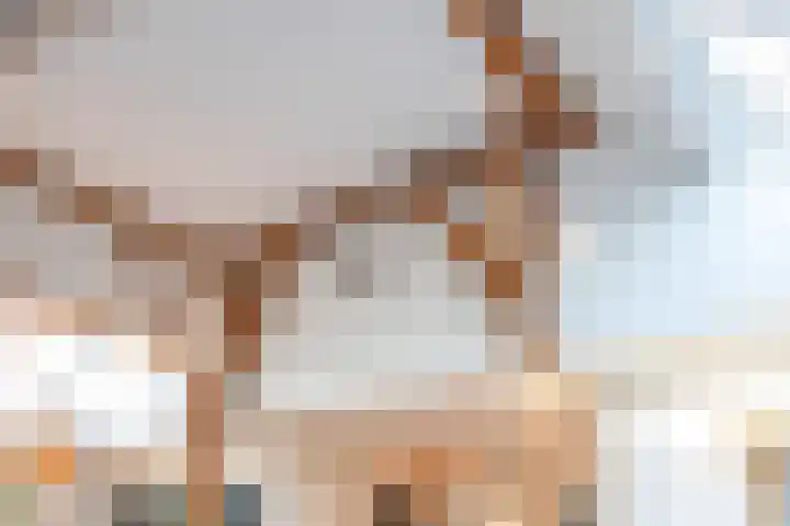Hooiweg 23 Eelde thumbnail 5