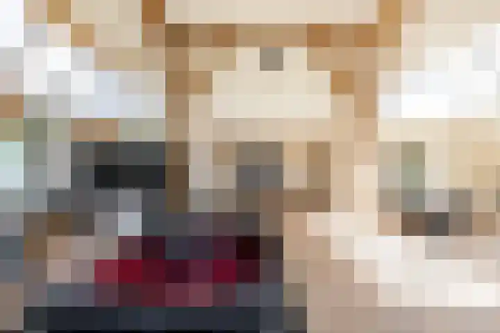 Hooiweg 23 Eelde thumbnail 7