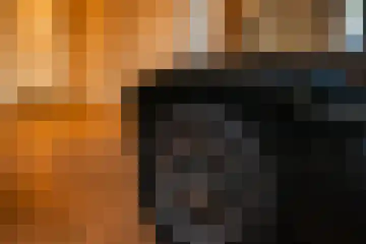 Hooiweg 23 Eelde thumbnail 9