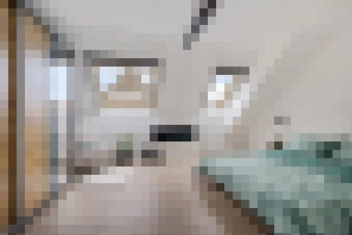 Hooiweg 25 g Eelde thumbnail 17