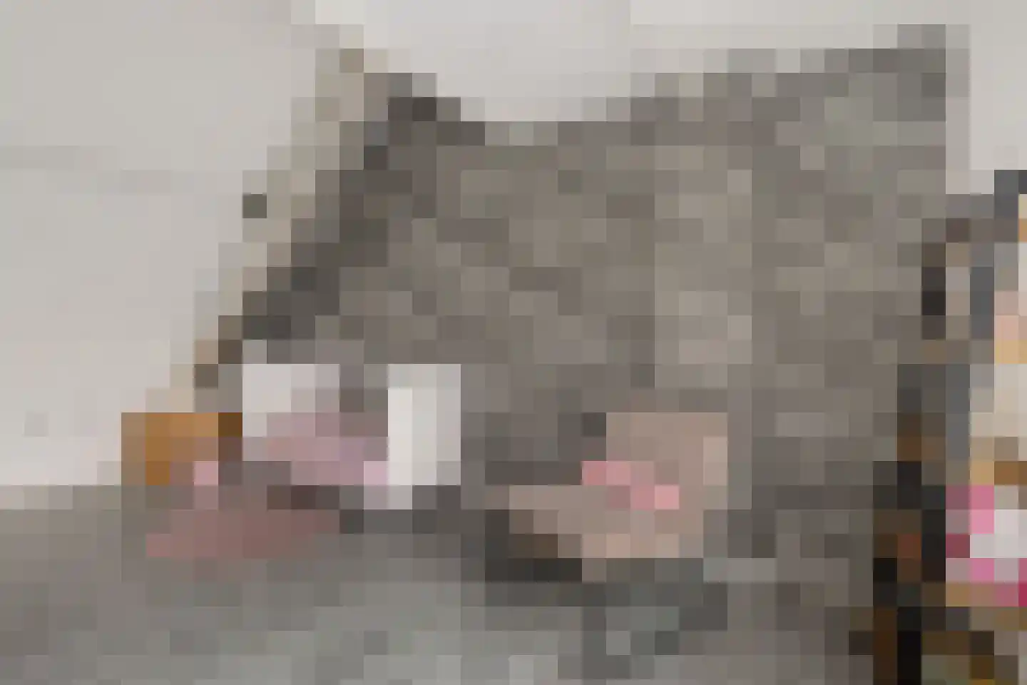 Hooiweg 25 g Eelde thumbnail 23