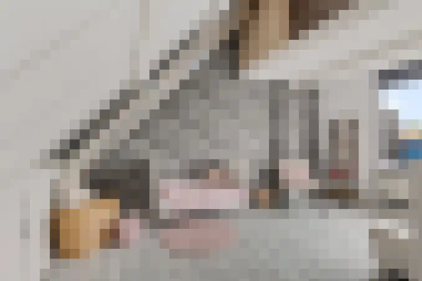 Hooiweg 25 g Eelde thumbnail 24