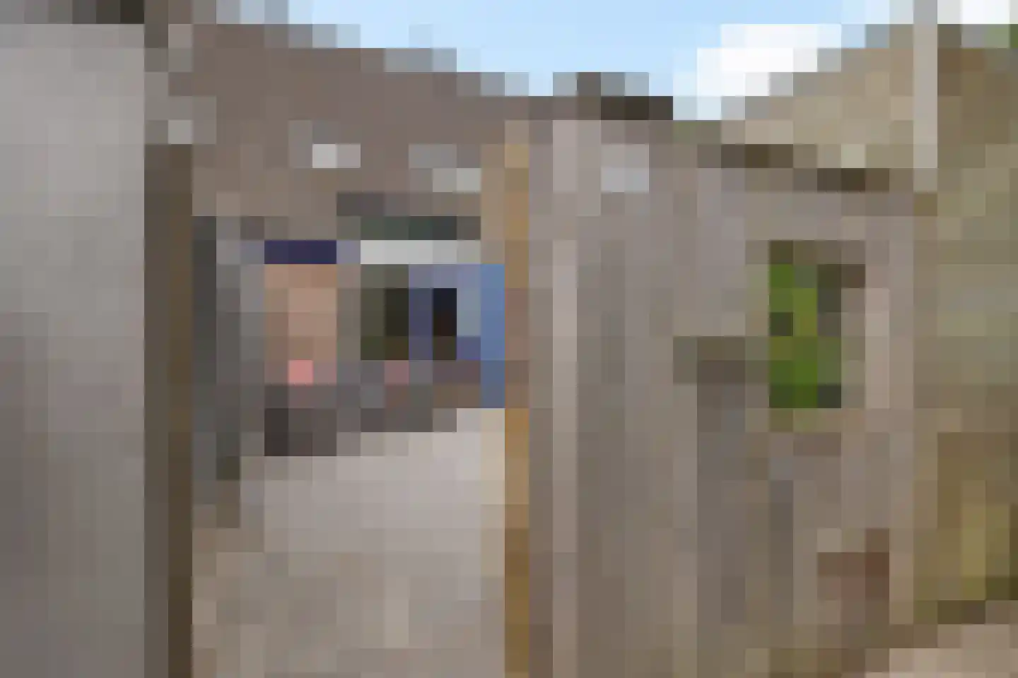 Hooiweg 25 g Eelde thumbnail 5