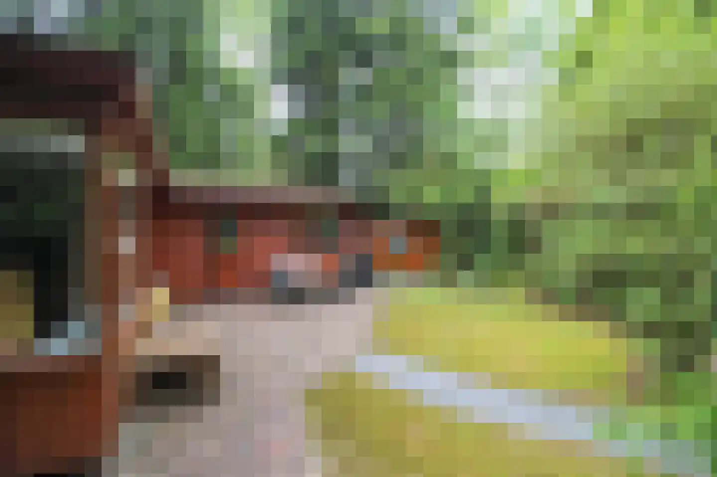 Hooiweg 29 A 14 Garderen thumbnail 24