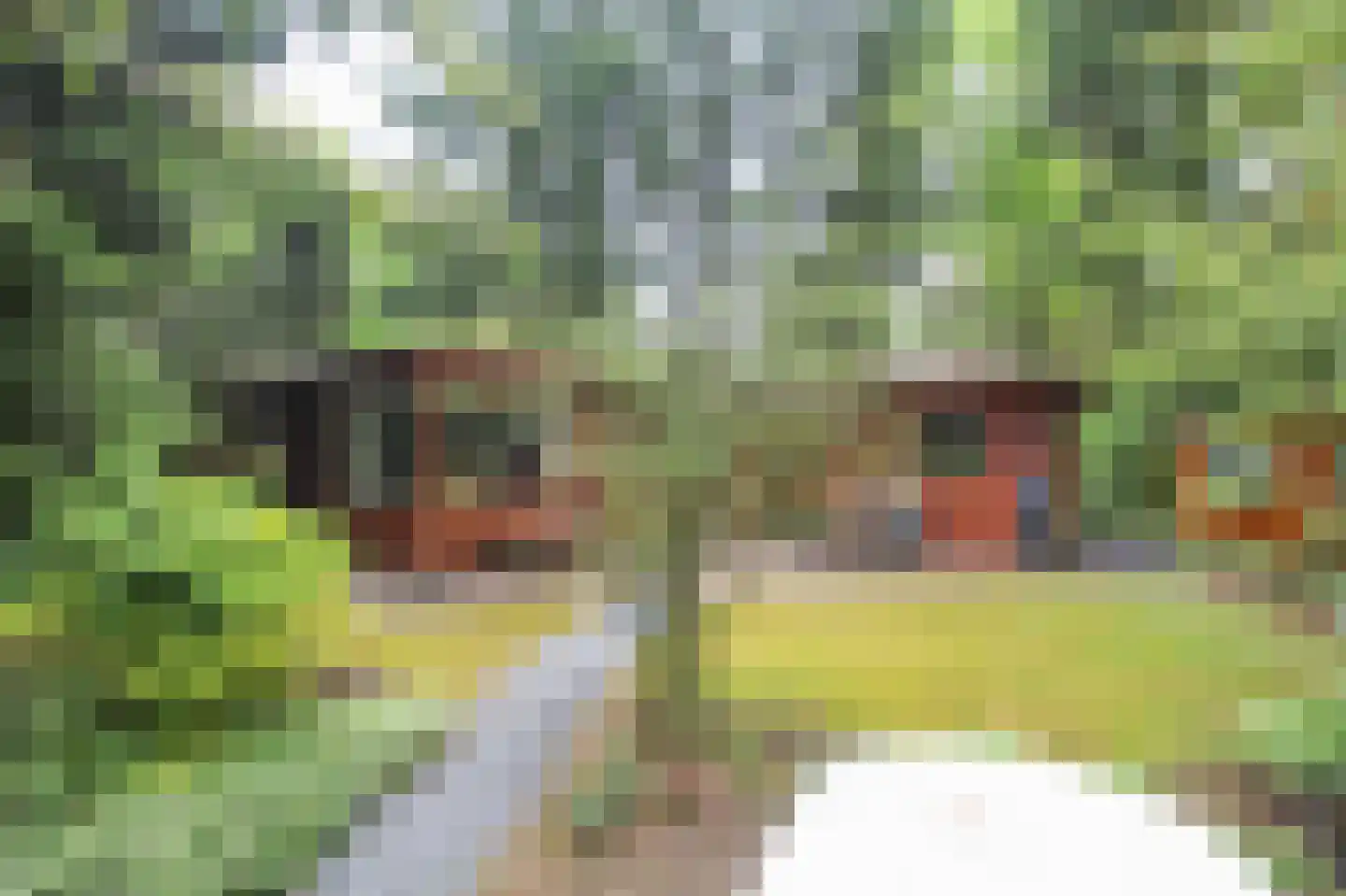 Hooiweg 29 A 14 Garderen thumbnail 25