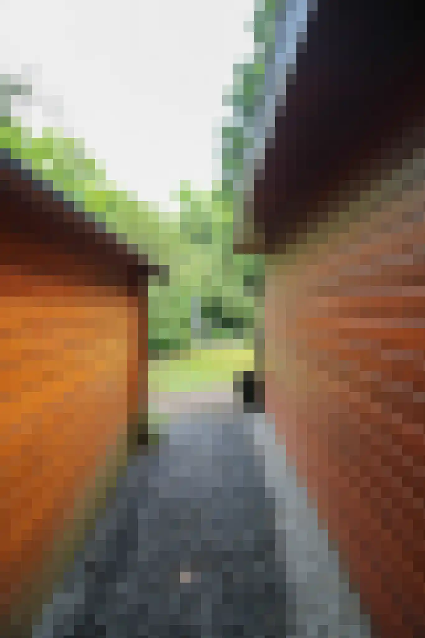 Hooiweg 29 A 14 Garderen thumbnail 31