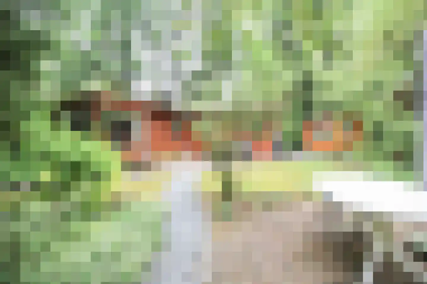 Hooiweg 29 A 14 Garderen thumbnail 34