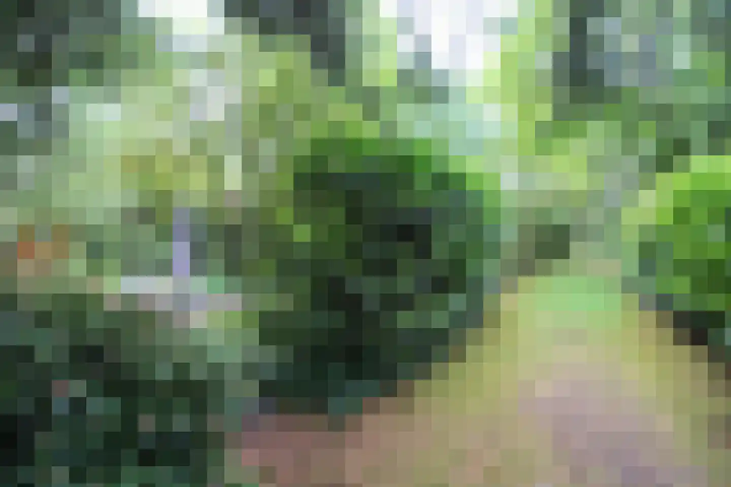 Hooiweg 29 A 14 Garderen thumbnail 35