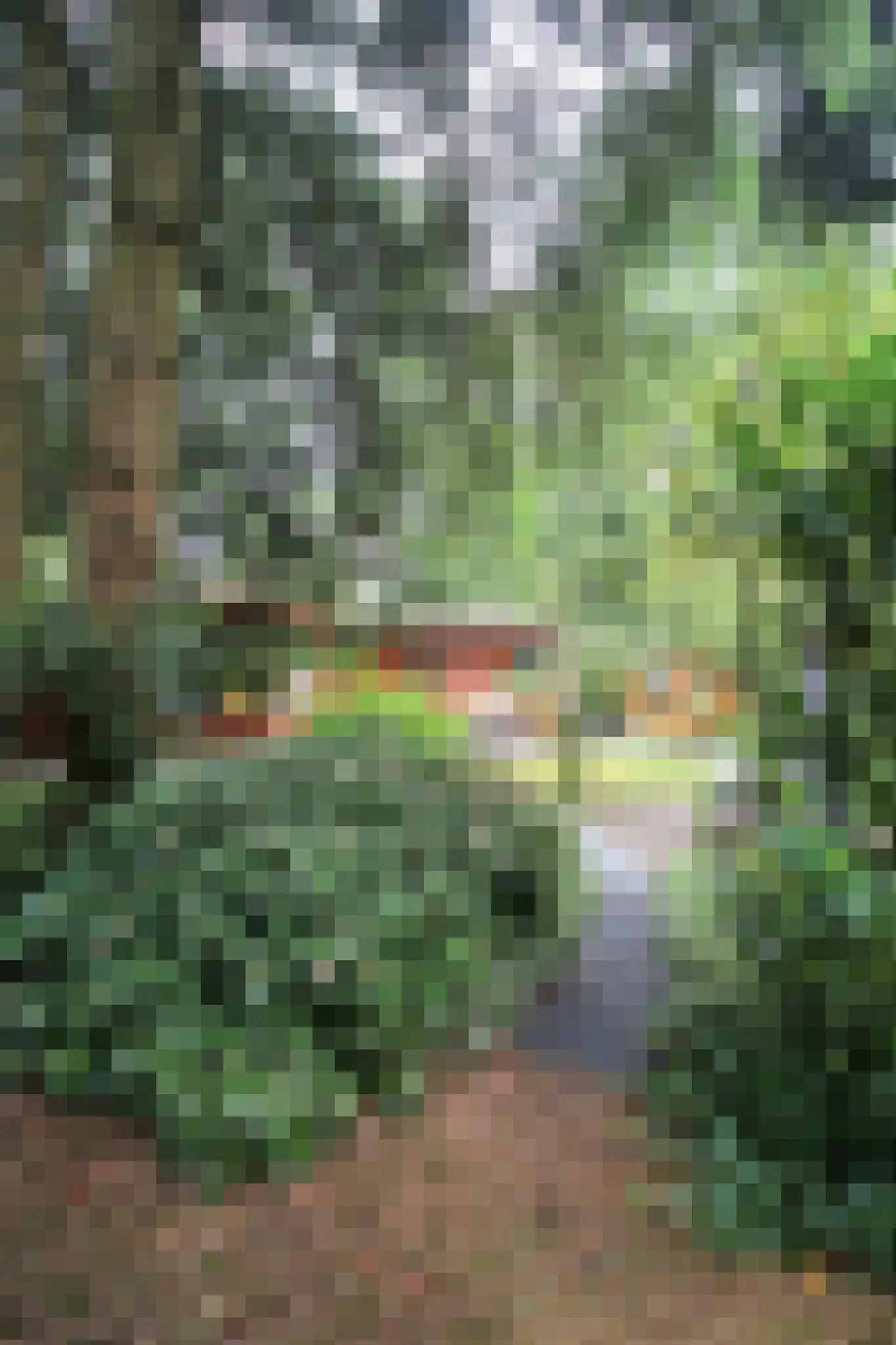 Hooiweg 29 A 14 Garderen thumbnail 36