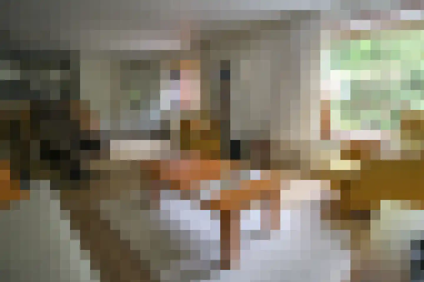 Hooiweg 29 A 14 Garderen thumbnail 4