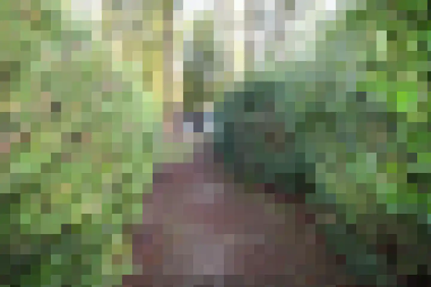 Hooiweg 29 A 15 Garderen thumbnail 25
