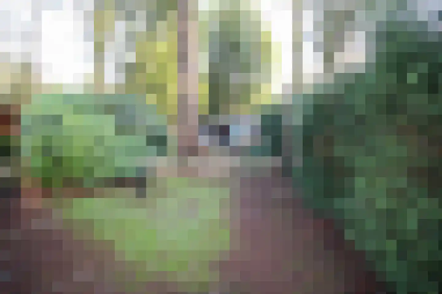 Hooiweg 29 A 15 Garderen thumbnail 26
